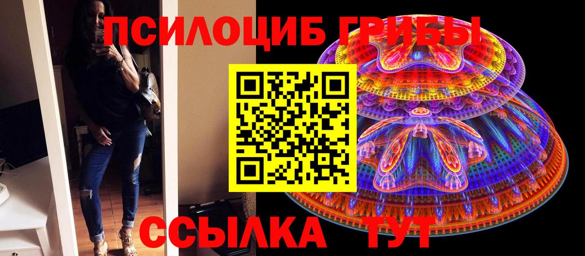 Псилоцибиновые грибы Psilocybine cubensis Владикавказ