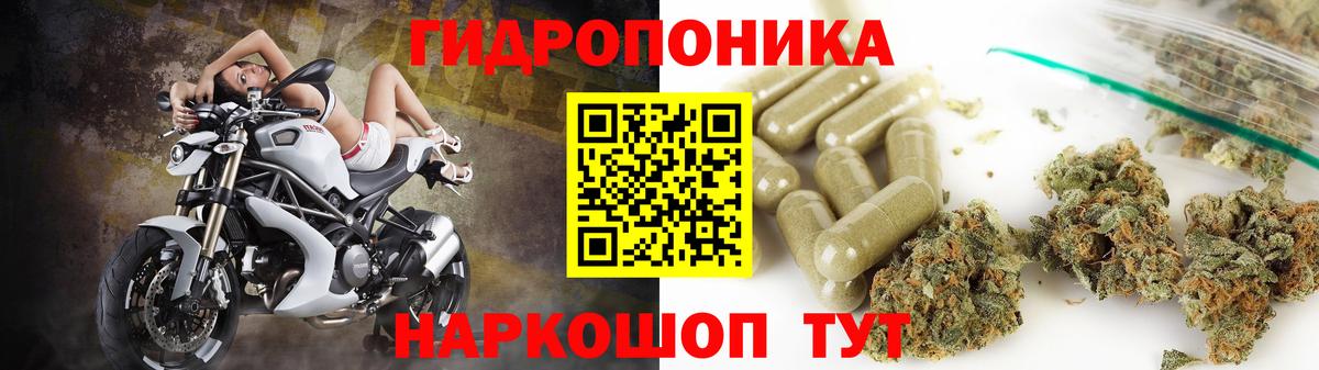 Каннабис индика Владикавказ
